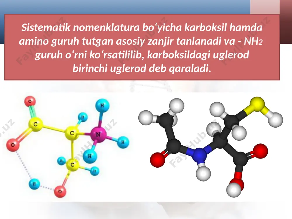 aminokislotlar va oqsillar. olinishi va xossalari. 10 - sinf - Page 4