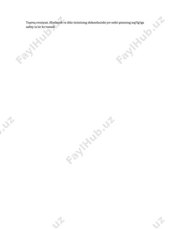 fitotsenozning yer ostki qismi - Page 2