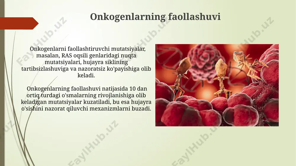 o'smalarni paydo qiluvchi sabablar - Page 5