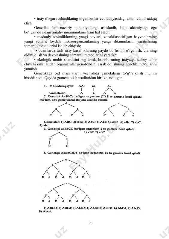 ada ishlatiladigan hamma simvollardan va terminlardan iloji boricha ratsional foydalanish kerak; 3. oxirida, masalaga izoh berilishi kerak. masalaning berilgan sharti. ota - onasi ko‘zining rangi jigarrang bo‘lgan oilada tug‘ilgan ko‘k ko‘zli erkak, otasining ko‘zi rangi jigarrang, onasining ko‘zi rangi ko‘k, o‘zining ko‘zi esa jigarrang bo‘lgan ayolga uylandi. ushbu nikohdan tug‘ilishi ehtimoli bo‘lgan farzandlarni aniqlang. 2.masalani quyidagi tartibda yechsa bo‘ladi. belgi (fenotip) gen genotip jigarrang ko‘z ko‘k ko‘z a a aa, aa aa erkak oilasining genotipi: ayol oilasining genotipi: ularning nikohidan: tug‘iladigan farzandlar p aa x aa p aa x aa p aa x aa g a a a a g a a a a g a a a a f aa aa aa aa f aa aa aa aa f aa aa aa aa masalani yechishda bir qancha qoidalarga e’tibor beriladi va bir qancha simvollardan foydalaniladi: avvalam bor birinchi qatorga quyidagilar voziladi: “p” harfi lotincha “parentales” ota - ona demakdir, …
