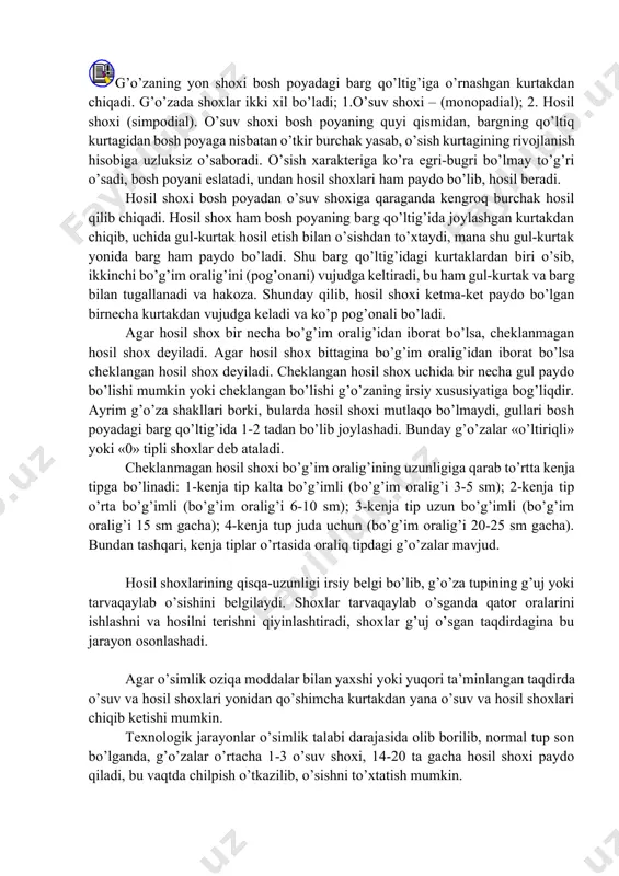 adi. g’o’za shoxi. tayanch tushunchalar: shoxlanish tipi, monopodial shox, simpodial shox, o’ltiriqli shox «0», shoxlanishning kenja tiplari, o’tkir burchak, o’tmas burchak, zig-zagsimon, to’xtovsiz o’sish, cheklanmagan va cheklangan shox. g’o’zaning yon shoxi bosh poyadagi barg qo’ltig’iga o’rnashgan kurtakdan chiqadi. g’o’zada shoxlar ikki xil bo’ladi; 1.o’suv shoxi – (monopadial); 2. hosil shoxi (simpodial). o’suv shoxi bosh poyaning quyi qismidan, bargning qo’ltiq kurtagidan bosh poyaga nisbatan o’tkir burchak yasab, o’sish kurtagining rivojlanish hisobiga uzluksiz o’saboradi. o’sish xarakteriga ko’ra egri-bugri bo’lmay to’g’ri o’sadi, bosh poyani eslatadi, undan hosil shoxlari ham paydo bo’lib, hosil beradi. hosil shoxi bosh poyadan o’suv shoxiga qaraganda kengroq burchak hosil qilib chiqadi. hosil shox ham bosh poyaning barg qo’ltig’ida joylashgan kurtakdan chiqib, uchida gul-kurtak hosil etish bilan o’sishdan to’xtaydi, mana shu gul-kurtak yonida barg ham paydo bo’ladi. shu barg qo’ltig’idagi kurtaklardan biri o’sib, ikkinchi bo’g’im oralig’ini (pog’onani) vujudga keltiradi, bu ham gul-kurtak va barg bilan tugallanadi va hakoza. shunday qilib, …