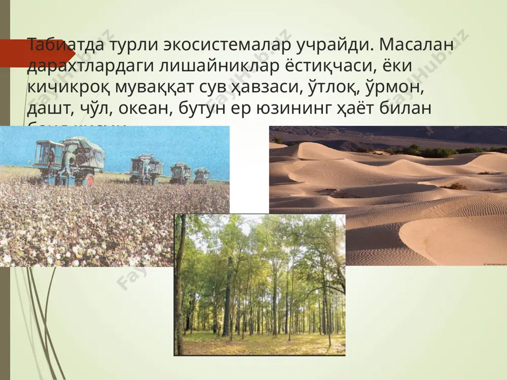 экосистемалар - Page 5