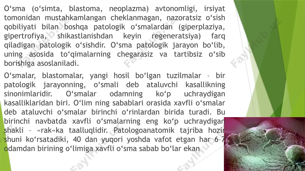 ib ketaveradi o‘smalar turli-tuman tuzilishga ega, ammo umuman olganda, o‘sma o‘zi kelib chiqqan to‘qimani u yoki bu darajada eslatib turadi. har bir o‘smada parenhima, ya’ni o‘smaning o‘z, spetsifik to‘qimasini va tomirlar hamda nervlari bo‘lgan biriktiruvchi to‘qima elementlarini tafovut qilish mumkin. o‘smaning mo‘tadil to‘qimadan farqi, o‘smada parenhima bilan biriktiruvchi to‘qima elementlarining noto‘g‘ri nisbatda bo‘lishida, o‘smaning tuzilish atipizmasidadir. to‘qima va hujayra atipizmasi tafovut etiladi. to‘qima atepizmasi o‘sma tarkibiy elementlarining noto‘g‘ri nisbatida namoyon bo‘ladi. har bir normal a’zoning istalgan to‘qimasi muayyan tuzilishga ega: bezlar bo‘lakchalardan tuzilgan, har bir bo‘lakchadan bir-biri bilan qo‘shilib ketadigan va umumiy chiqaruv nayini hosil qiladigan bez naychalari boshlanadi, mushaklar ma’lum yo‘nalishda boradigan va paylar bilan birikadigan mushak tutamlariga birlashgan tolalar guruhidan tuzilgan: qon tomirlar har bir a’zo uchun xarakterli bo‘lgan aniq tuzilgan to‘rni hosil qiladi hujayra atipizmi o‘sma parenximasining hujayralariga taalluqli bo‘lib, hujayralar, ayniqsa, yadrolarning o‘lchami va shakllarining o‘zgarishida namoyon bo‘ladi. o‘smaning hujayralari va yadrolari shakli va o‘lchami bo‘yicha …