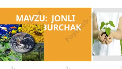 jonli burchak — PPTX