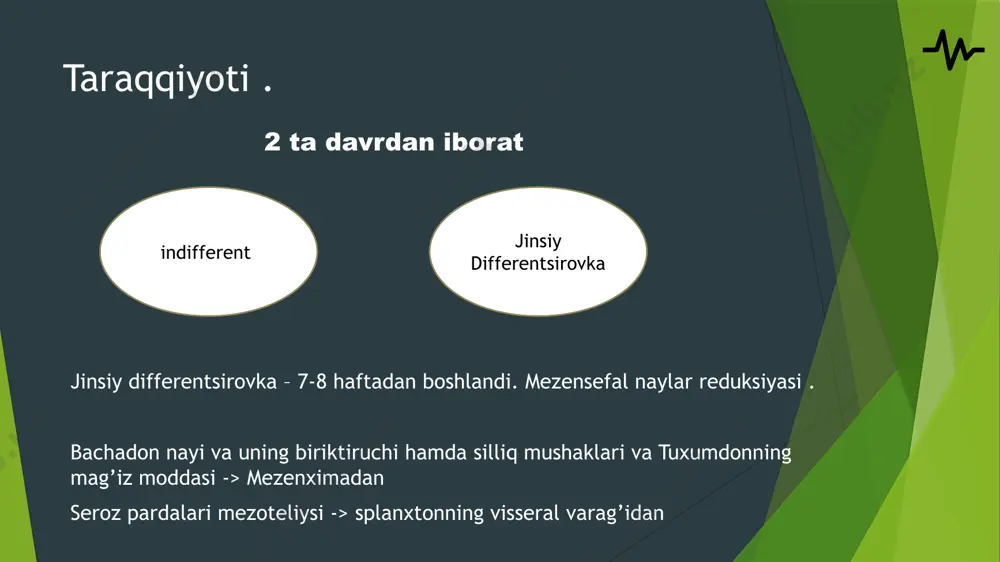 ayollar reproduktiv sistemasi - Page 3