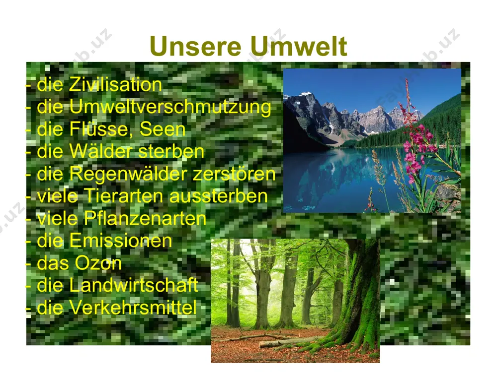 umweltschutz - Page 2