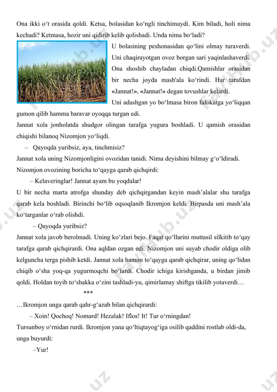 sharasi koʻrinmasdi. yana oʻtirib timirskilanib peshonasini topdi. hamon issiq. ona ikki oʻt orasida qoldi. ketsa, bolasidan koʻngli tinchimaydi. kim biladi, holi nima kechadi? ketmasa, hozir uni qidirib kelib qolishadi. unda nima boʻladi? u bolasining peshonasidan qoʻlini olmay turaverdi. uni chaqirayotgan ovoz borgan sari yaqinlashaverdi. ona shoshib chayladan chiqdi.qamishlar orasidan bir necha joyda mash'ala koʻrindi. har tarafdan «jannat!», «jannat!» degan tovushlar kelardi. uni adashgan yo boʻlmasa biron falokatga yoʻliqqan gumon qilib hamma baravar oyoqqa turgan edi. jannat xola jonholatda shudgor olingan tarafga yugura boshladi. u qamish orasidan chiqishi bilanoq nizomjon yoʻliqdi. – qayoqda yuribsiz, aya, tinchmisiz? jannat xola uning nizomjonligini ovozidan tanidi. nima deyishini bilmay gʻoʻldiradi. nizomjon ovozining boricha toʻqayga qarab qichqirdi: – kelaveringlar! jannat ayam bu yoqdalar! u bir necha marta atrofga shunday deb qichqirgandan keyin mash’alalar shu tarafga qarab kela boshladi. birinchi boʻlib oqsoqlanib ikromjon keldi. birpasda uni mash’ala koʻtarganlar oʻrab olishdi. – qayoqda yuribsiz? jannat xola javob berolmadi. …