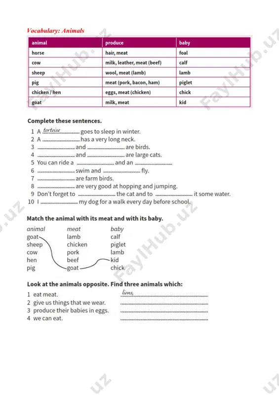 present continuous tense - Page 5