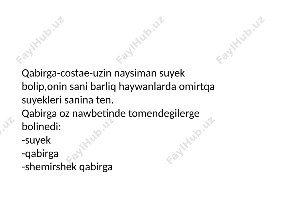 omirtqa, qabirg'a ham tos suyegining birigiwi - Page 2
