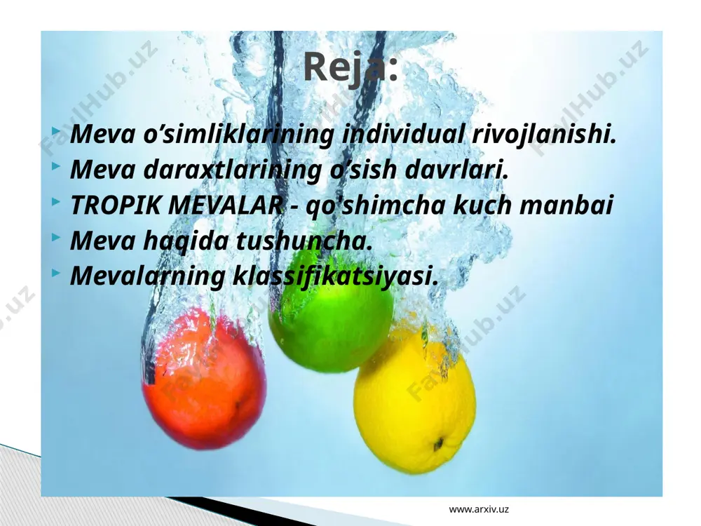 alarini o’tadi. mazkur ko’chatlarning ayrim qismlaridan ko’paytirilgan o’simliklar esa individ emas, balki klon individi deb ataladi. i.v.michurin meva o’simliklari urug’ ko’chatining yoshini : embrionlik, yoshlik (yuvinil). mahsuldorlik va qurish (qarish) davrlaridan iborat 4 davrga bo’lingan. embrionlik davri zigota hosil bo’lgandan boshlanadi: shundan so’ng ona (asosiy) o’simlikda urug’ rivojlanadi. bu davr urug’ unib chiqqandan keyin urug’ palla yorib chiqquncha va birinchi chinbarg paydo bo’lguncha davom etadi. bu davrda yosh organizm juda o’zgaruvchan va tashqi muhit sharoitiga moslashishga moyil bo’ladi. yoshlik davri keyingi chinbarglar chiqarganidan boshlanib, hosilga kirgandan so’ng 3-5 yilgacha davom etadi. bu davrda o’simlikning irsiyatiga xos belgilari va xususiyatlari to’liq shakllanadi hamda tugallanadi. ular bir vaqtda shakllanmaydi. hayotning boshlang’ich bosqichida vegetativ, keyin esa reproduktiv belgilar shakllanadi. reproduktiv belgilari mustahkamlanishi uchun 3-5 yil va undan ham ortiq vaqt kerak. bu protsessda urug’ ko’chatlarni maqsadga muvofiq parvarish qilish juda muhimdir, chunki bu davrda ularning qimmatli belgi va xususiyatlari shakllanadi va mustahkamlanadi. urug’ …