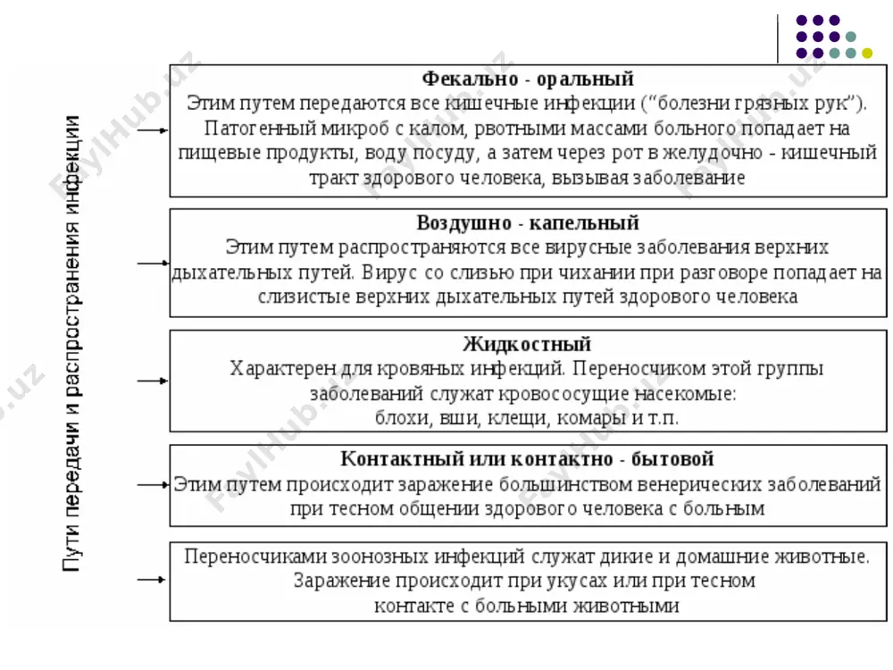 гепатит (болезнь боткина) возбудитель фильтрующийся вирус источник инфекции больной человек пути распространения вместе с калом, мочой больного; с пищей, водой; при введении сыворотки, полученной у больного инкубационный период от 2 недель до 1,5 месяцев продромальный период в среднем 5-7 дней. ребенок становится капризным, раздражительным, пропадает аппетит, нарушается сон, появляются тошнота, рвота, жидкий стул, боли в области печени. течение болезни, симптомы желтушный период: улучшается самочувствие, нарастает желтушная окраска слизистых оболочек и кожных покровов, жалобы на боли в области печени, кожный зуд. период выздоровления: постепенно восстанавливаются функции печени, исчезает желтушная окраска, уменьшается зуд кожи, улучшается аппетит, нормализуется сон. степени тяжести гепатита— легкая, среднетяжелая и тяжелая. осложнения: у грудных детей дистрофия печени, цирроз. дизентерия возбудитель дизентерийные бактерии источник инфекции испражнения больного, вещи пути распространения воздушный инкубационный период 2-7 дней продромальный период 3-4 дня. появляются схваткообразные боли в животе, преимущественно в левой части, частый жидкий стул (до 20—30 раз в сутки). в кале прожилкй …
