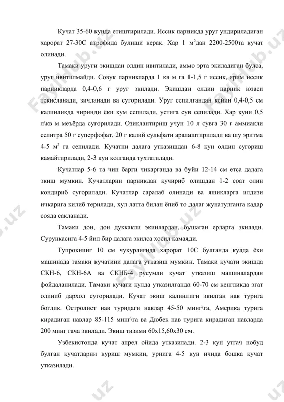 ида 7-9 марта сугорилади, сугориш меъёри 400-600 м3\га сугориш тизими 2-3-4, 2-2-2. баргларини тула етилиши учун гул туплами ёки гул туплами билан 2-3та ёки 5-6 та барглари юлинади. тамакида касалликлар ва зараркунандалар куп учрайди, уларга карши чоралар курилади. тамакининг гул туплами ва учки навдаларини юлиш яхши натижа беради. бунда пояси ва илдизи яхши усади ва ривожланади. агар усимлик яхши ривожланган булса, 15-20% гуллаганда усимликнинг гул туплами чилпинади. тупрок унумдорлиги уртача булган ерларда усимлик 40-50% чилпинади. унумдор ерларда усимлик 60-70% гуллаганда чилпинади. баргнинг учидан бошлаб 30-40%гача саргиш тусга кира бошланиши, юзасининг мумсимон губор билан копланиб, тулкинсимон булиши, учлари ва ёнлари бир оз эгилиши, шунингдек калинлашиб ва мурт булиб поядан осон узиб олиниши баргларнинг техник жихатидан етилганлигини билдиради. усув даврида барглар 5-7 марта йигилади. йигилган барглар кулда ёки машинада ипга тизилади, бир метр ипга 160-180 та барг тизилади, тизилган барглар махсус жойларда куритилади, куритиш бир нечта усулда бажарилади. бу даврда барг таркибида …