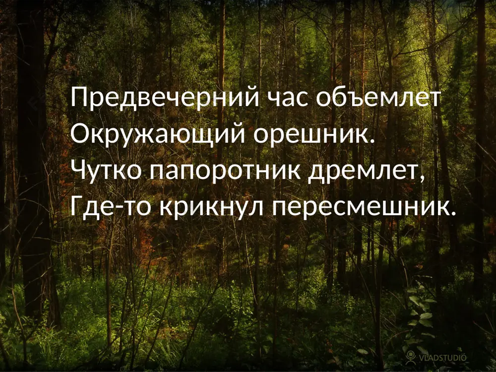 мле вудсия ломкая морозостойкий вид, зона 6-3. нежный вид, с перистыми вайями, нежно зеленого цвета. образует аккуратные кустики до 20 см выстой, с поникающими вайями. рекомендуется для тенистых мест, альпийских горок. к почвам не требовательна, но на известковых почвах развивается лучше. семейство высших водяных папоротников объединяет несколько видов интереснейших растений, вполне подходящих для содержания в тропических аквариумах. папоротники стабильно и равномерно растут в течение всего года, не имея периодов сезонной вегетации. пожалуй, наиболее декоративен и популярен папоротник bolbitis heudelotii одно из самых привлекательных аквариумных растений. родина - центральная африка: реже, но встречается и на островах малайзии. в хороших условиях часто образует обширные, плотные заросли. жесткие, как проволока, черешки и твердые кожистые листья почти так же популярен и распространен в любительских аквариумах еще один представитель семейства многоножковых - таиландский крыловидный папоротник microsorium pteropus произрастающий практически в любой точке обширного региона, именуемого юго- восточной азией.