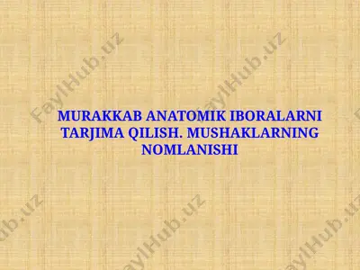 murakkab anatomik iboralarni tarjima qilish. mushaklarning nomlanishi — PPTX