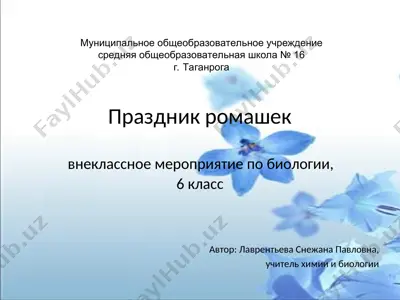 prazdnik romashek — PPT