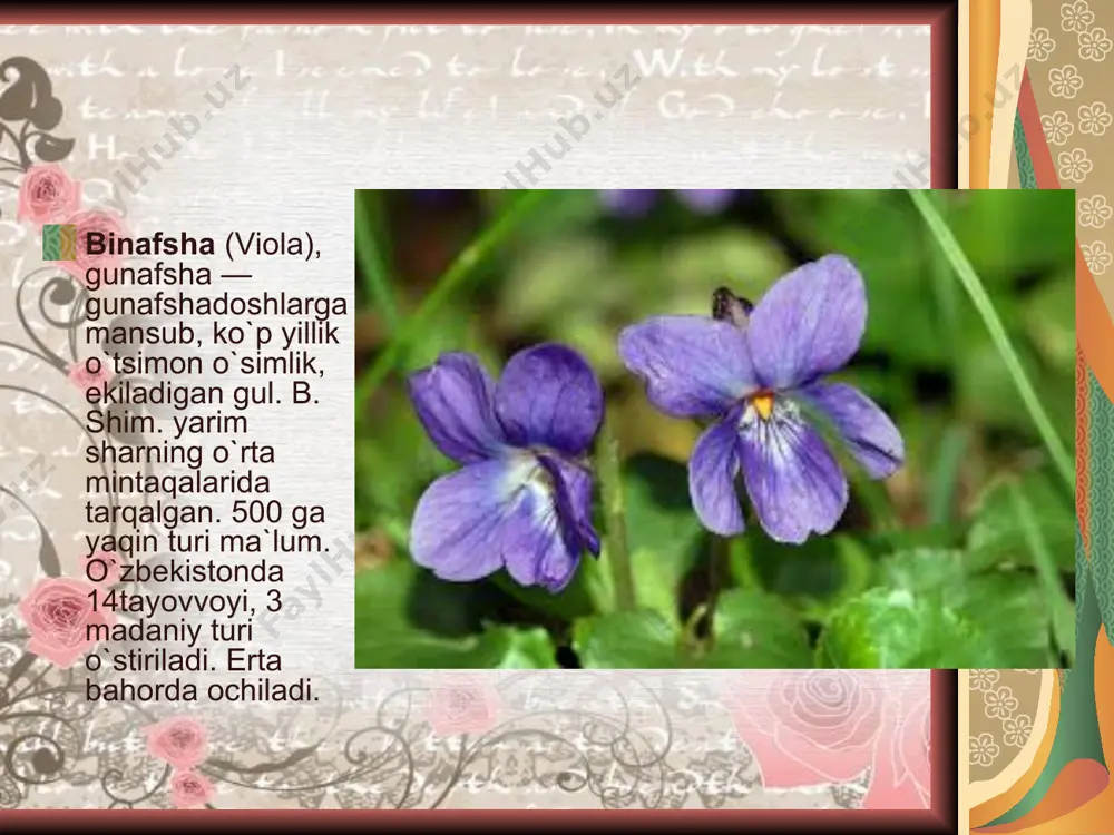 bahoriy gullar - Page 4