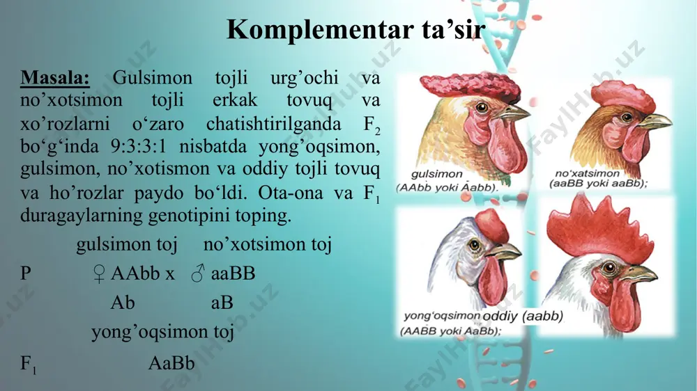 komplementar ta’sir - Page 5