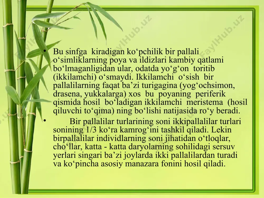 adi. odatda meva va urug‘ tugmaydi. sarimsoq piyozi jahonning ko‘p mamlakatlarida, jumladan o‘rta osiyoning hamma rayonlarida. sarimsoq piyozi tarkibida 0,3% gacha alanin 0,4% gacha efir moyi, 0,06% atrofida yog‘li moy fitosterin, azotli moddalar, fitonsidlar anchagina miqdorda askarbinat kislota bor. sarimsoq piyozi tarkibida moddalar me’da ichak yo‘lini ishini kuchaytiradi, o‘t siydik haydaydigan, og‘riq qoldiradigan, balg‘am ko‘chiradigan va bakteratsid xususiyatlarga ega. sparjalar oilasi - asparagaceae bu oilaga 23 avlod, 230 tur o‘simlik mansub bo‘lib, oila vakillari yaxshi rivojlangan ildizpoyali, ko‘p yillik o‘t o‘simlik. poyalari tik o‘suvchi, ba’zan shakli o‘zgargan kaladodiylaribo‘lib, barg vazifasi ni bajaradi. to‘pgullar sochoq, gulqo‘rg‘oni birikib o‘sgan. mevasi rezavor. sparja avlodi (asparagus) ning 120 turi bor. shundan o‘rta osiyoda 24, respublikamizda 7 turi uchraydi. bu avlodning vakillari chala buta o‘simliklardir. barglari mayda, pardasimon tangachaga aylangan. gullari ayrim jinsli. bir yoki ikki uyli o‘simlik. gulqo‘rg‘oni qo‘ng‘iroqsimon 6 ta bargchasi birikib o‘sgan. mevasi sharsimon xo‘l meva. may marvaridguli - sonvallaria majalis l. …