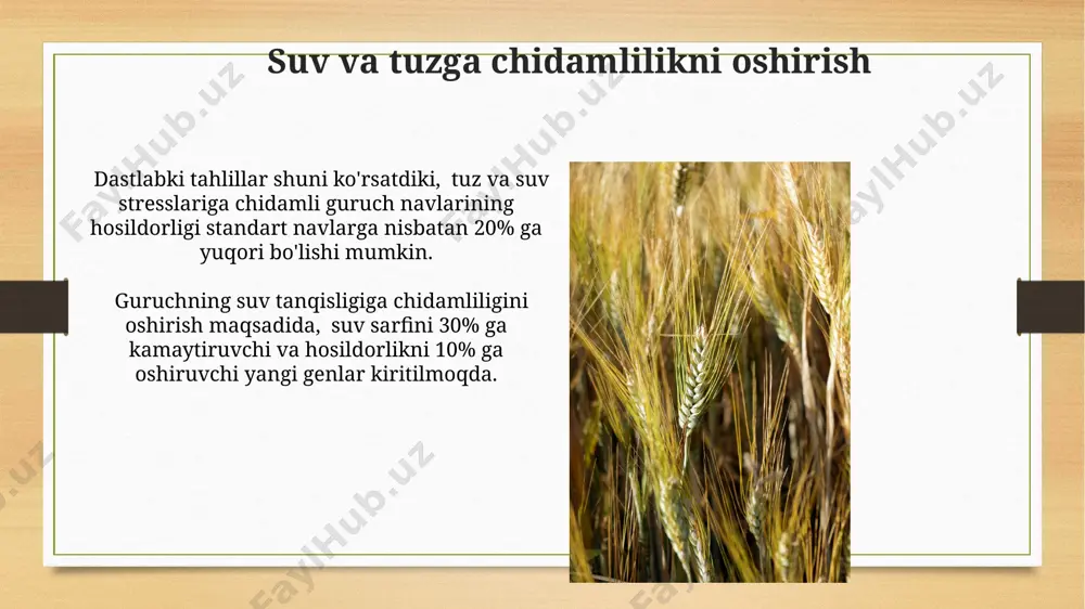 suli seleksiyasining asosiy yo'nalishlari - Page 3