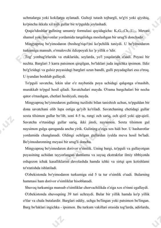 chi uchmalarga yoki kоkilаrgа aylanadi. gultoji tutash tojbargli, to'g'ri уоki qiyshiq, ko'pincha ikkala xil tojli gullar bir to'pgulda joylashadi. qoqio'tdoshlar gulining umumiy formulasi quyidagicha: kog(5)ch(5)u(2). mevasi shamol yoki hayvonlar yordamida tarqalishga mos​lashgan bir urug'li donchadir. mingyaproq bo'yimodaron (boshog'riqo't)ni ko'pchilik taniydi. u bo'yimodaron turkumiga mansub, o'rmalovchi il​dizpoyali ko 'р yillik о 'tdir. tog' yonbag'irlarida va etaklarida, soylarda, yo'l yoqala​rida o'sadi. poyasi bir nechta. barglari 3 kаrrа patsimon qir​qilgan, bo'laklari juda ingichka ipsimon. ildiz bo'g'izidagi va gulsiz poyasidagi barglari uzun bandli, gulli poyadagilari esa o'troq. u iyundan boshlab gullaydi. to'pguli savatcha, lekin ular o'z naybatida роya uchidagi qalqonga o'mashib, murakkab to'pgul hosil qiladi. savatcha​lari mayda. o'rama bargchalari bir necha qator o'rnashgan, chetlari hoshiyali, mayda. mingyaproq bo'yimodaron gulining tuzilishi bilan tani​shish uchun, to'pguldan bir dona savatchani оlib lupa ostiga qo'yib ko'riladi. savatchaning chetidagi gullar soxta tilsimon gullar bo‘lib, soni 4-5 ta, rangi осh sariq, осh qizil yoki qip-qizil. savatcha o'rtasidagi gullar sariq, ikki …