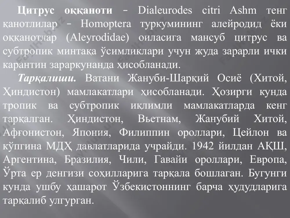ус оққанотининг тухуми. 3-расм. цитрус оққанотининг личинкалари. шу тариқа личинка барг ширасини сўриб олади ва ўзидан жуда майда томчи – шира ажратиб чиқаради. личинканинг иккинчи ёши – узунлиги 0,57-0,66 мм келади, оёқларсиз, япалоқ, овал кўринишида бўлади. тана тузилиши оддийлашади, кўзлари кўринмай қоладиди, шу ҳолатда қишлашга қолади. личинканинг учинчи ёши – узунлиги 0,91-1,1 мм га етади, кўриниши мураккаблашиб, япалоқ ҳолга келади. ранги шаффофланиб, яшил баргларга ёпишганда кўринмай қолади. кунлар исиши билан қишлаган личинкалар баҳор ойларида ривожлана бошлайди, ўлчами катталашади, танаси сариқ ранга киради. кўзлари катталашиб тўқ қизил рангга киради. оёқлари катталашиб, қанотлари ривожланади. пупарий ҳолатида оққанот кўпгина заҳарли киёвий препаратлар ва мойли эмульсиялар таъсирида чидамли бўлади. қизил кўзларнинг пайдо бўлиши капалакнинг учиб чиқишига 5-6 кун қолганини билдиради. пупарий оққанот личинкасининг охирги қобиғи хисобланади. у энига ва ёнига ёрилиб т – симон ёриқ ҳосил қилади ва бу ёриқдан етилган оққанот ташқарига чиқади. капалаги. пупарий қобиғидан чиққан оққанотнинг қанотлари буришган, танаси шаффоф, кўзлари …