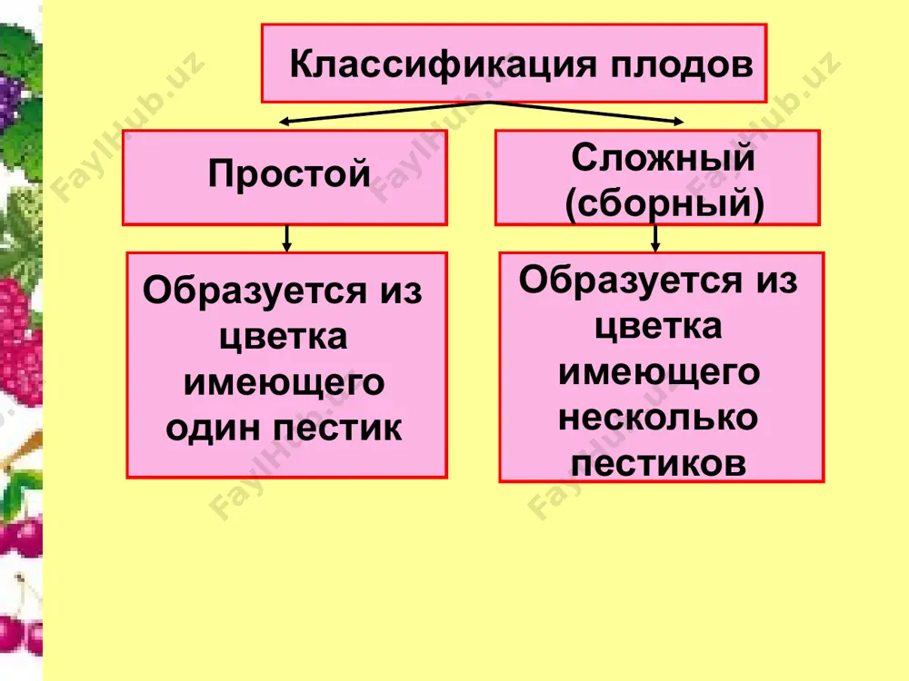 плоды - Page 5