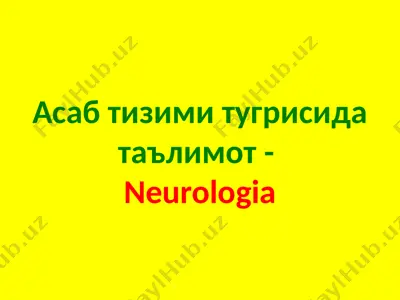neurologia — PPTX