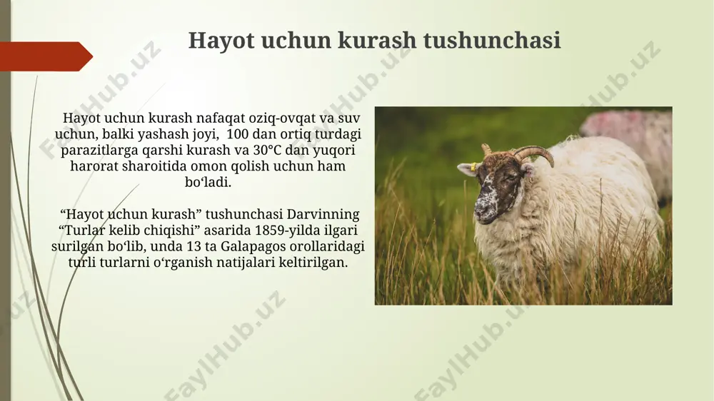 atijalari tabiiy tanlanish natijasida 3,5 million yil avval afrikada paydo bo'lgan avstralopiteklarning evolyutsiyasi sodir bo'lib, zamonaviy odamning (homo sapiens) paydo bo'lishiga olib keldi. galapagos orollarida darvin tomonidan kuzatilgan finch qushlarining turli xil tumshug' shakllari, oziq-ovqat manbalariga moslashuvning a'lo misoli bo'lib, tabiiy tanlanishning turli muhit sharoitlariga moslashishdagi rolini ko'rsatadi. xulosa жанубий америкадаги галапагос оролларидаги 13 турдаги тумшуқли қушларнинг турли хил тумшуқлари овқатланиш усулларига мослашиш натижасида шаклланганлигини мисол қилиб келтириш мумкин. дарвин 1859 йилда "турларнинг келиб чиқиши" китобида табиий танланиш орқали 2 миллиондан ортиқ турларнинг ер юзида тарқалишини ва рақобатни таърифлаган. evolyutsiya jarayonida tabiiy tanlanishning roli tabiiy tanlanish jarayonida 1859 yilda charlz darvin tomonidan taklif qilingan evolyutsiya nazariyasining asosiy mexanizmi boʻlib, unda galapagos orollaridagi turli finch turlarining adaptatsiyasi misol qilib keltiriladi. tabiiy tanlanish natijasida 1 million yildan ortiq vaqt ichida hayvonlarning 30% dan ortigʻi oʻzgargan va yangi turlar paydo boʻlgan, masalan, avstraliyaning marsupial sutemizuvchilari. sunʼiy tanlanish bilan taqqoslash sunʼiy tanlanish inson tomonidan …