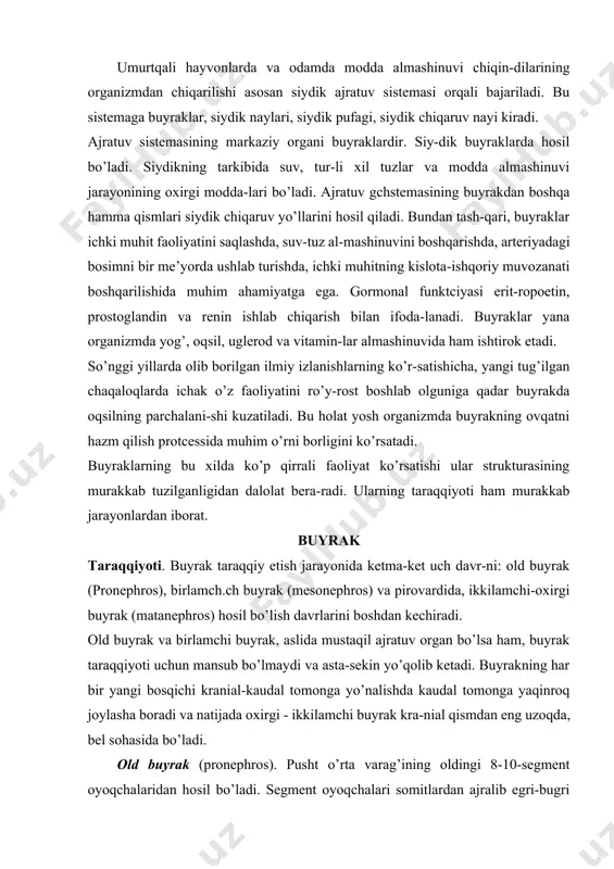 oq joylasha boradi va natijada oxirgi - ikkilamchi buyrak kra-nial qismdan eng uzoqda, bel sohasida bo’ladi. old buyrak (pronephros). pusht o’rta varag’ining oldingi 8-10-segment oyoqchalaridan hosil bo’ladi. segment oyoqchalari somitlardan ajralib egri-bugri naychalar - protonefridiylar- ga aylanadi. bularning uchi tananing ikkilamchi bo’shlig’iga- tcelomga ochiladi. ikkilamchi- somitlarga qaragan uchi esa kau-dal yo’nalishda o’suvchi mezonefral nayga ochiladi. odam embrio-nida bu buyrak siydik ajratish organi sifatida xizmat qil-maydi va tezda- qayta aks taraqqiyotga uchraydi. birlamchi buyrak (mesonep'hros) - embrional hayotda ancha uzoq vaqt ishlaydi. u ko’p sonli (25 taga yaqin) segment oyoqchala-ridan hosil bo’ladi. segment oyoqchalari somitlardan ajralib chiqadi va birlamchi buyrak naychalari-metanefridiylarga aylanadi. metanefridiyning bir uchi mezonefral nay tomonga o’sadi va u bilan birlashadi. metanefridiyning ikkilamchi bo’shliqqa qaragan qismidan aorta tomonga yon o’simtalar chiqadi. bu o’simtalarga aortadan kapillyarlar to’rini shakllantiruvchi qon tomirlar keladi. usimtalar kapillyarlarni qoplaydi va birlamchi buyrak koptokchasini hosil qiladi. old buyrak davrida hosil bo’lgan mezonefral kanal kaudal yo’nalishda o’sib, …