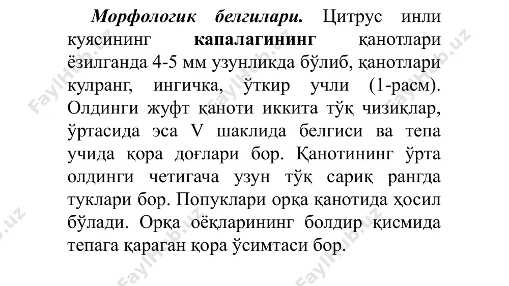 ed. тур – ўрта ep денгиз мева пашшаси — сeratitis capitata wied. оила – чипорқанотлилар - tephritidae туркум – иккиқанотилилар - diptera европа-австрия, албания, греция, малта, нидерландия, испания, италия, осиё-афғонистон, исроил, индонезия, иордания, эрон, кипр, ливан, миср, туркия, ява ороллари; африка-жазоир, миср, зоир, зимбабве, конго, ливия, маврикий, мадагаскар, марокко, нигерия, сенегал, судан, танзания, тунис, уганда, марказий ва жанубий америка-аргентина, бразилия, перу, австралия ва океанияда ҳам тарқалган. мдҳда 1937 йилда одессада тарқалган. 1964, 1966, 1967 ва 1968 йилларда севастополда ва иккинчи бор 1966 йилда одессада топилган. карантин ва қирувчи тадбирлар натижасида уларнинг марказлари йўқ қилинган. охирги йилларда ўрта ер денгиз мева пашшасининг кириб келиш хавфи озарбойжон, грузия ва эронда кузатилди. бу мамлакатларда 1976 йилда тарқалган ва тез кўпайиб кетган эди. унинг тарқалиши натижасида мева етиштирадиган хўжаликларга тез иқлимлашади ва ўрик, шафтоли, шунингдек цитрус меваларини зарарлайди. апельсин, мандарин, лимон, банан, кофе, хурмо, анжир, қулупнай, анор, ўрик, олма, гилос, узум, помидор, бақлажон ва …