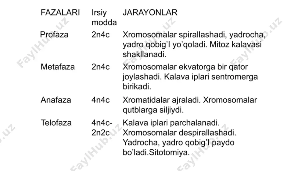 mitoz va meyoz sikllari - Page 4