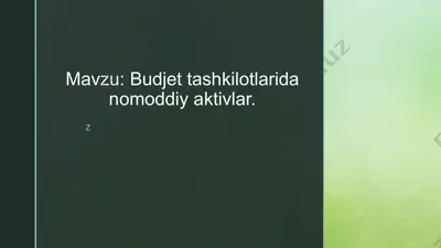 budjet tashkilotlarida nomoddiy aktivlar — PPTX