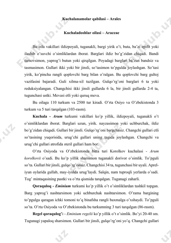 gli baxmalga o’xshaydi. to’pguli so’ta. o’rta osiyoda va o’zbekistonda bu turkumning 3 turi tarqalgan (86-rasm). regel qoraqulog’i - eminium regelii ko’p yillik o’t o’simlik. bo’yi 20-40 sm. tugunagi yapaloq sharsimon. gullari bir jinsli, gulqo’rg’oni yo’q. changchi gullari 2 changchili, urug’chi gullari bir uyali. mevasi oq. aprel-may oylarida gullab, urug’ beradi. adir va tog’ning pastki qismida, soz tuproqli yerlarda o’sadi (86-rasm). poyabargdoshlar oilasi - lemnaceae bu oila vakillarining vegetativ tanasi bargsimon kichkina poyadan iborat bo’lib, suv yuzida qalqib yoki suvga botib turadi. u gulli o’simliklar orasida eng mayda o’simlik hisoblanadi. bu o’simlik juda kam gullaydi, lekin yon novdalari yordamida vegetativ yo’l bilan juda tez ko’payadi. guli ayrim jinsli. changchi gullari bir changchili, urug’chi gullari bir urug’chili. urug’lari 1-7 ta, juda mayda. urug’i suvning ostida yetiladi. undan ko’klamda yangi o’simlik o’sib chiqadi. bu oila pisliya turkumi orqali qo’g’adoshlar bilan bog’lanadi. bu oila ulardan reduksiyalanish yo’li bilan kelib chiqqan, degan fikrlar bor. poyabargdoshlar …