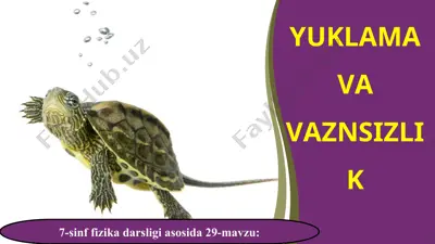 yuklama va vaznsizlik 7-sinf — PPT