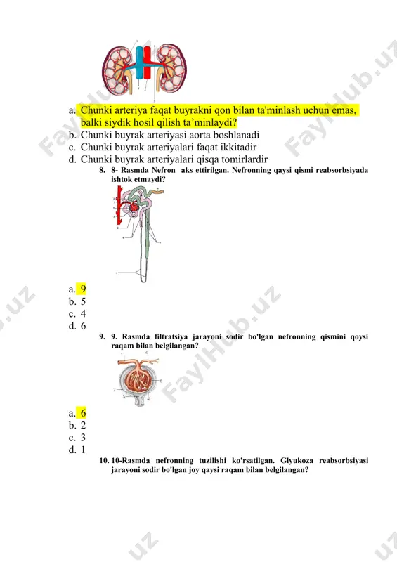 filtratsiya jarayoni - Page 3
