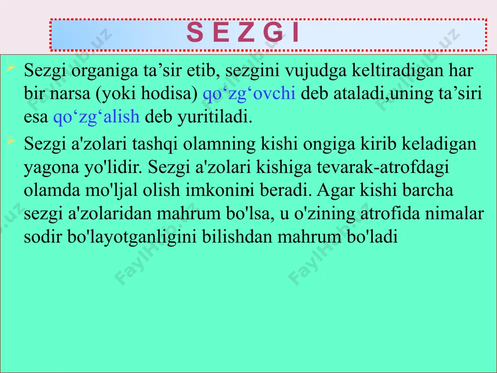 sezgi haqida tushuncha - Page 5