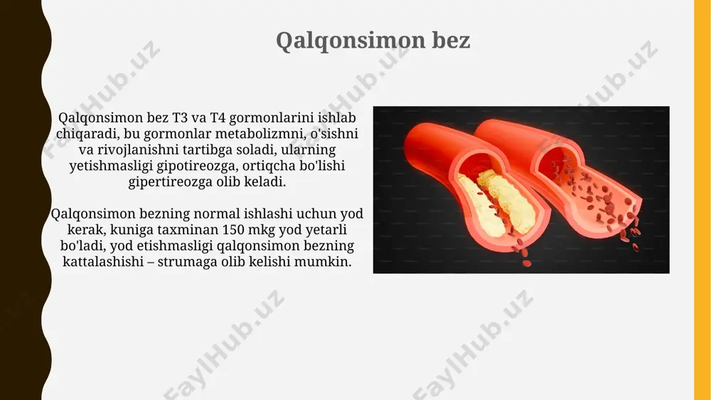 periferik endokrin bezlar - Page 4