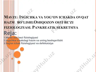 me’da osti bezi fiziologiyasi — PPTX