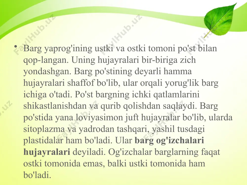 barglarning ichki tuzilishi. 6 - sinf - Page 5