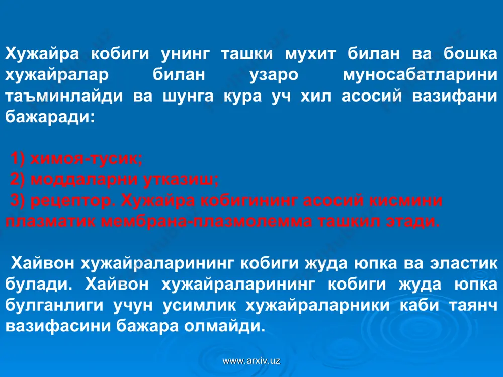 эукариотлар - Page 4
