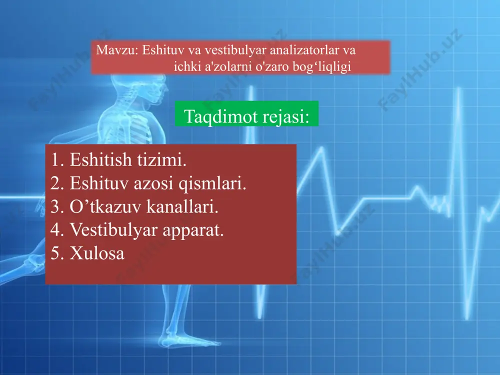 da joylashgan neyronlar muayyan tovush tebranishlariga sezgir. eshitish analizatorlarining nerv elementlari tovush tebranishlari bilan birga tovush kuchi, davomiyligi va boshqalar xususiyatlariga ham taʼsirchan. markaziy nerv sistemasi va, ayniqsa, uning yuqori qismi neyronlari tovushning murakkab belgilari (mas, tovush amplituda modulyatsiyasi chastotasi, yoʻnalishi va harakati)ga sezgir boʻladi. tashqi eshituv yo‘li tovush tebranishlarini quloq pardasiga (nog‘ora parda) yetkazadi. nog‘ora parda tashqi quloqni o‘rta quloqdan ajratib turadi, uning shakli ichkariga yo‘nalgan voronkani eslatadi (0,1 mm). nog‘ora parda tashqi eshituv yo‘li orqali kelgan tovush to’lqinlariga tebranadi. o 'rta quloq. havo bilan to’lgan o‘rta quloqda uch xil suyakchalar mavjud. ular bolg ‘acha, sandon va uzangi deb nomlanadilar, bu suyakchalar nog‘ora pardaning tebranishlarini ichki quloqqa o'tkazadi. suyakchalardan biri- bolg‘acha dastasi nog‘ora pardaga suqilib kirgan, bolg‘achaning ikkinchi tomoni sandonga birlashgan. nog‘ora pardaning tebranishlari bolg'acha dastasi bilan sandon o‘sig‘idan tuzilgan richagning uzunchoq dastasiga o‘tadi, shu sababli tovush tebranishlari amplitudasi kamayib, kuchi oshgan holda uzangiga keladi. uzangining boshi darcha membranasiga …