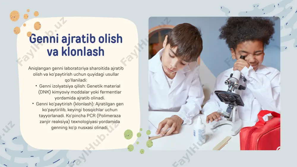 ning tabiiy rivojlanishiga ta’sir qilishi mumkin. sog‘liq xavflari allergik reaktsiyalar: ayrim odamlar transgen oziq-ovqatlarga allergik reaksiya ko‘rsatishi mumkin. antibiotik rezistentligi: marker genlar sifatida ishlatiladigan antibiotiklarga chidamlilik genlari mikroorganizmlar orasida antibiotiklarga qarshilikni oshirishi mumkin. kichik fermerlar uchun qiyinchiliklar: gmo urug‘lari qimmat bo‘lgani uchun kichik fermerlar ulardan foydalanishda cheklovlarga duch keladi. patent masalalari: genetik modifikatsiyalangan urug‘larning patentlanganligi ko‘plab mamlakatlarda qishloq xo‘jaligiga ta’sir qiladi. ijtimoiy va iqtisodiy muammolar transgen organizmlar zamonaviy biotexnologiyaning yutuqlaridan biridir. ular orqali oziq-ovqat xavfsizligi, tibbiy davolash, qishloq xo‘jaligi va ekologik muammolarni hal qilish imkoniyati paydo bo‘lgan. shu bilan birga, ekologik, sog‘liq va ijtimoiy xavflarni hisobga olish va bu texnologiyani ehtiyotkorlik bilan rivojlantirish zarur. transgen organizmlar yaratish va qo‘llashda har bir bosqichda ilmiy asoslangan yondashuv talab etiladi. xulosa thank you image5.png image10.svg image6.png image12.svg image1.png image2.svg image2.png image4.svg image3.png image6.svg image4.png image8.svg image7.png image14.svg image8.png image16.svg image9.png image18.svg image25.svg image13.jfif image10.png image21.svg image11.png image23.svg image12.png image14.jpeg image15.jpeg image16.png image29.svg image17.png …