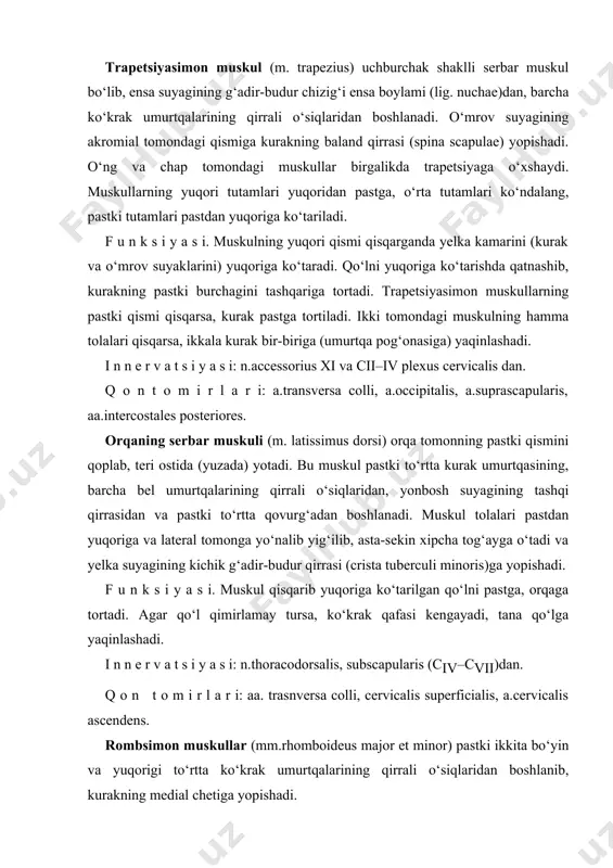 ga, orqaga tortadi. agar qo‘l qimirlamay tursa, ko‘krak qafasi kengayadi, tana qo‘lga yaqinlashadi. i n n e r v a t s i y a s i: n.thoracodorsalis, subscapularis (civ–cvii)dan. q o n t o m i r l a r i: aa. trasnversa colli, cervicalis superficialis, a.cervicalis ascendens. rombsimon muskullar (mm.rhomboideus major et minor) pastki ikkita bo‘yin va yuqorigi to‘rtta ko‘krak umurtqalarining qirrali o‘siqlaridan boshlanib, kurakning medial chetiga yopishadi. f u n k s i y a s i. kurakni medial tomonga, umurtqa pog‘onasiga yaqinlashtiradi va yuqoriga tortadi.. qon tomirlari: a.transversa colli, a.suprascapularis, aa.intercostalis posteriores. i n n e r v a t s i y a s i: n.dorsalis scapulae (civ–cv)dan. qon tomirlari: a.transversa colli, a.suprascapularis, aa.intercostalis posteriores. kurakni ko‘taruvchi muskul (m.levator scapulae). bu muskul trapetsiyasimon muskulning ostida joylashgan bo‘lib, yuqoridagi uchta yoki to‘rtta bo‘yin umurtqasining ko‘ndalang o‘sig‘idan boshlanib, pastga qarab yo‘nalib, kurakning yuqori burchagiga yopishadi. f u …