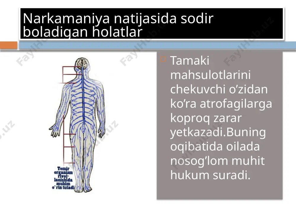 norkamaniya va salomatlik - Page 3