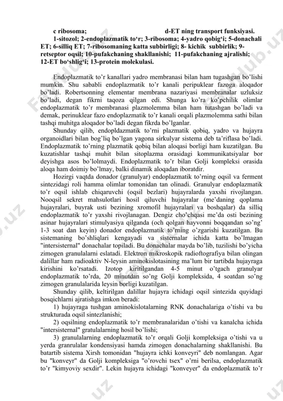 hosil bo’lishi; 3) granulalarning endoplazmatik to’r orqali golji kompleksiga o’tishi va u yerda granrulalar kondensiyasi hamda zimogen donachalarning shakllanishi. bu batartib sistema xirsh tomonidan "hujayra ichki konveyri" deb nomlangan. agar bu "konveyr" da golji kompleksiga "o’rovchi tsex" o’rni berilsa, endoplazmatik to’r "kimyoviy sexdir". lekin hujayra ichidagi "konveyer" da endoplazmatik to’r va golji kompleksidan tashqari hujayraning boshqa komponentlari va ayniqsa yadro (informatsion rnk ning sitoplazmaga o’tishi, oqsil sintezining nazorat qilinishi) va mitoxondriyaning (oqsil sintezini energiya bilan ta’minlash) roli katta. silliq endoplazmatik to’r esa, ko’pgina olimlarning fikricha, boshqa metabolik jarayonlarda, birinchi talda hujayradagi lipid va glikogenning sintezida, agregasiyasida va transportida ishtirok etadi. endoplazmatik to’rning kelib chiqishi va to’planish yo’llari ham yetarli ma’lum emas edi. ko’pgina sitologlar uni hujayra qobig’idan va mavjud endoplazmatik to’rdan kelib chiqishini aytadilar. hujayra qobig’ining divertikula va pinotsitoz pufakchalari endoplazmatik to’rning membranalari bilan birlashib endoplazmatik to’r sistemasini to’ldiradi. endoplazmatik to’r yadro qobig’i hisobiga tiklanadi, degan fikr ham bor. tadqiqotchilar …