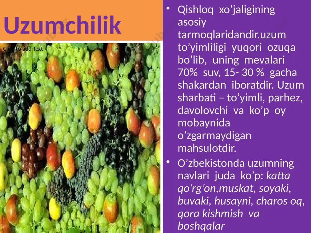 o’lkamiz o’simlikshunosligi - Page 4