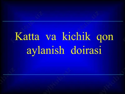 yurak tuzilishi va qon aylanishi — PPTX
