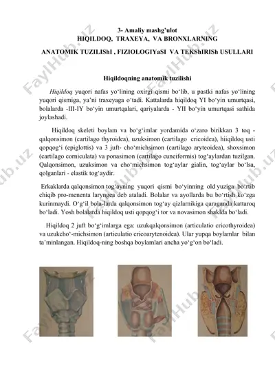 hiqildoqning anatomik tuzilishi — DOCX