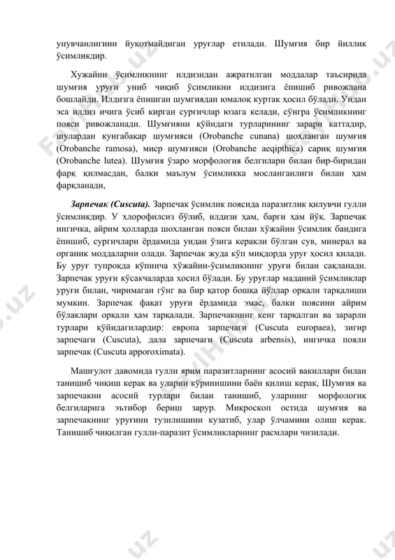 лади. зарпечакнинг кенг тарқалган ва зарарли турлари қўйидагилардир: европа зарпечаги (cuscuta europaea), зигир зарпечаги (сuscuta), дала зарпечаги (сuscuta arbensis), ингичка пояли зарпечак (сuscuta apporoximata). машғулот давомида гулли ярим паразитларнинг асосий вакиллари билан танишиб чиқиш керак ва уларни кўринишини баён қилиш керак, шумғия ва зарпечакни асосий турлари билан танишиб, улариинг морфологик белгиларига эътибор бериш зарур. микроскоп остида шумғия ва зарпечакнинг уруғини тузилишини кузатиб, улар ўлчамини олиш керак. танишиб чиқилган гулли-паразит ўсимликларнинг расмлари чизилади.