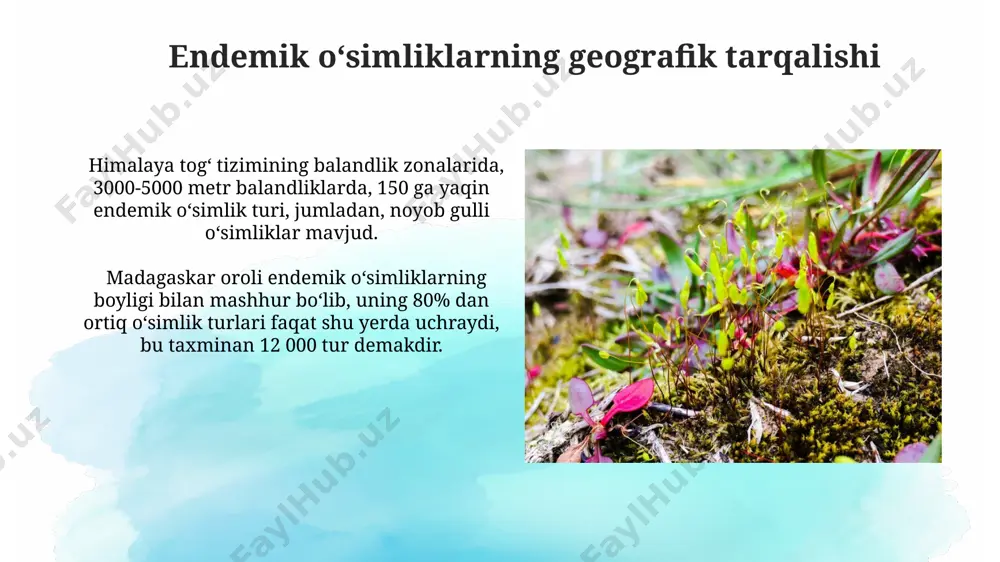 rasiforme) andijon viloyatining togʻli hududlarida kamida 15 ta allelik variantini saqlab qolgan, bu ularning oʻziga xos genetik resurs ekanligini isbotlaydi. oʻsimliklarning endemik turlari haqida umumiy maʼlumot madagaskar orolida dunyodagi eng yuqori endemik oʻsimlik xilma-xilligi mavjud boʻlib, taxminan 80% oʻsimlik turlari faqat shu yerda uchraydi. oʻzbekistonning 1500 dan ortiq oʻsimlik turi endemik hisoblanadi, jumladan, fargʻona vodiysida noyob gulli oʻsimliklarning 200 ga yaqini uchraydi. endemik oʻsimliklarning muhofazasi va saqlanishi surxondaryo viloyatining 200 dan ortiq endemik oʻsimlik turini saqlab qolish maqsadida, 5 ta yangi qoʻriqxona va milliy bogʻlarning tashkil etilishi rejalashtirilgan. oʻzbekistonning 1500 dan ortiq endemik oʻsimlik turi mavjud boʻlib, ularning 30 foizi qoraqalpogʻiston respublikasining choʻl va dasht hududlarida uchraydi, shuning uchun ushbu hududlarning muhofazasi juda muhim. endemik oʻsimliklarning kelajagi va tahdidlar oʻzbekistonning 1500 ga yaqin endemik oʻsimlik turi mavjud boʻlib, ularning 30% dan ortigʻi, ayniqsa, qoraqalpogʻiston va fargʻona vodiylarida, choʻl va dasht ekotizimlarining buzilishi tufayli yoʻqolib ketish xavfi ostida. tojikistonning pomir togʻlaridagi …
